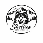 Shelties Bergstrasse